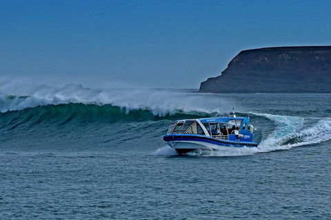Phillip Island Wildlife Cruise With Optional Penguin Parade And 3 Park Pass - Attractions 0