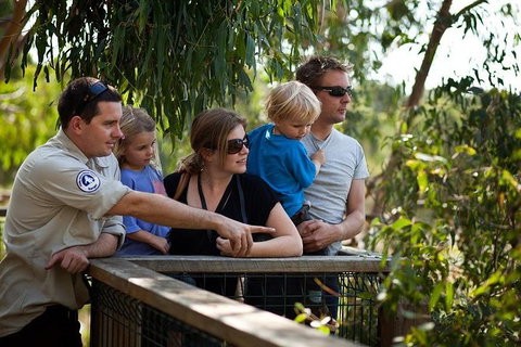 Phillip Island Koala Conservation Centre: Entry Ticket - Attractions 1