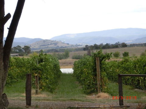 Yarra Valley Wineries And Puffing Billy Steam Train Tour From Melbourne - Attractions 25