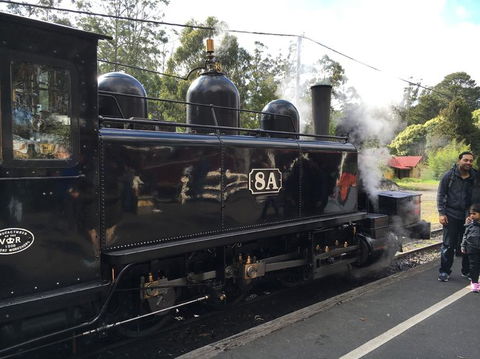 Yarra Valley Wineries And Puffing Billy Steam Train Tour From Melbourne - Attractions 13
