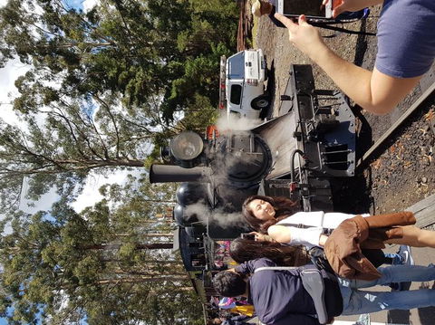 Yarra Valley Wineries And Puffing Billy Steam Train Tour From Melbourne - Attractions 5
