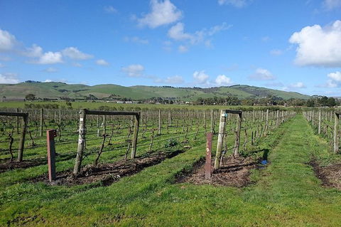 Phillip Island Wine Experience Tour - Attractions 4