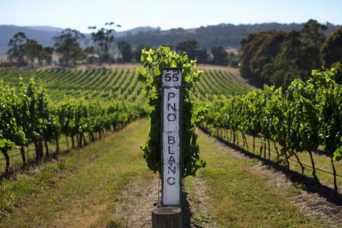 Small Group 6 Guests: Ultimate Yarra Valley Food And Wine - Mercedes Van - Attractions 8