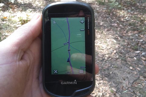 GPS Guided Walks In The Daylesford Forest - Attractions 0