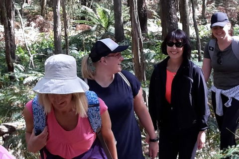 GPS Guided Walks In The Daylesford Forest - Attractions 1