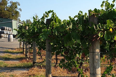Wine Tasting Tour In The Yarra Valley - Attractions 2