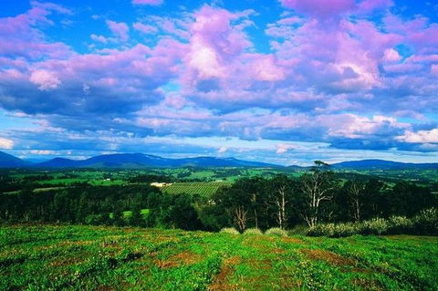 CHEVY CONVERTIBLE Package For 4 -Wine Lunch Cheese & Chocolate From Yarra Valley - Attractions 7