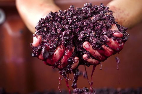 CHEVY CONVERTIBLE Package For 4 -Wine Lunch Cheese & Chocolate From Yarra Valley - Attractions 5