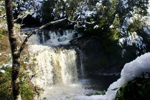 Cradle Mountain Day Tour From Launceston Including Lunch - Attractions 9