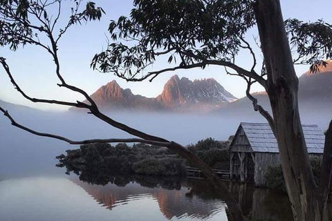 Cradle Mountain Day Tour From Launceston Including Lunch - Attractions 7