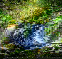 Day Tour in Mt. Field Mt. Wellington Bonorong Wildlife Sanctuary and Richmond - Attractions