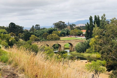 Day Tour In Mt. Field, Mt. Wellington, Bonorong Wildlife Sanctuary And Richmond - Attractions 6