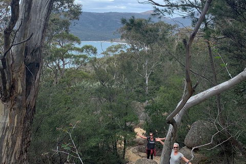 Wineglass Bay And Freycinet National Park Active Day Trip From Hobart - Attractions 14
