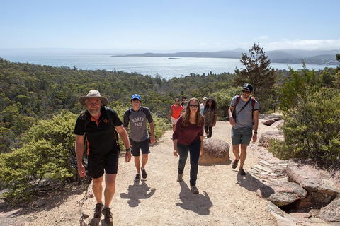 Wineglass Bay And Freycinet National Park Active Day Trip From Hobart - Attractions 26