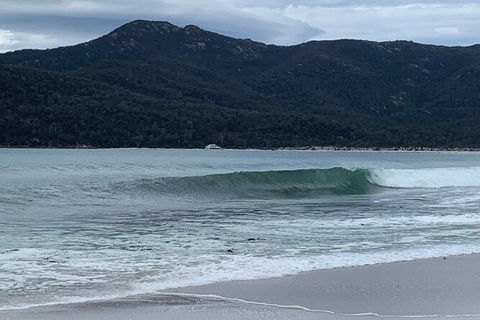 Wineglass Bay And Freycinet National Park Active Day Trip From Hobart - Attractions 17