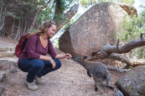 Wineglass Bay And Freycinet National Park Active Day Trip From Hobart - Attractions 31