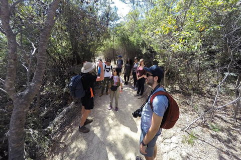 Wineglass Bay And Freycinet National Park Active Day Trip From Hobart - Attractions 19