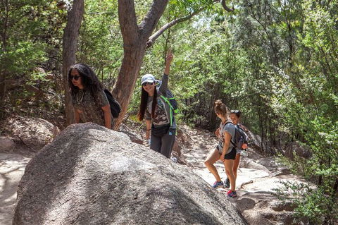 Wineglass Bay And Freycinet National Park Active Day Trip From Hobart - Attractions 22