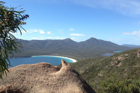 Wineglass Bay And Freycinet National Park Active Day Trip From Hobart - Attractions 33