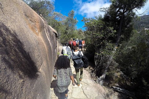 Wineglass Bay And Freycinet National Park Active Day Trip From Hobart - Attractions 21