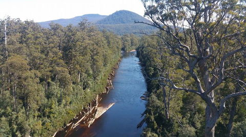 Small-group DayTour From Hobart: Hastings Caves, Huon Valley And Tahune AirWalk - Attractions 3