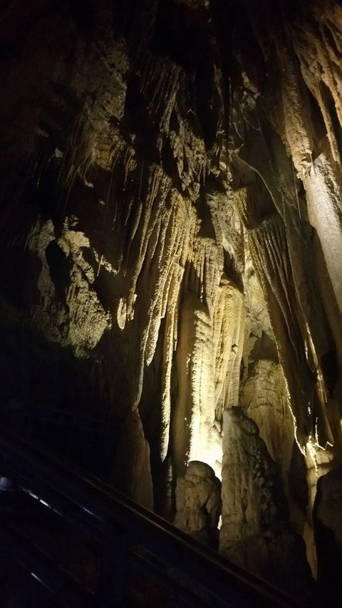 Small-group DayTour From Hobart: Hastings Caves, Huon Valley And Tahune AirWalk - Attractions 5