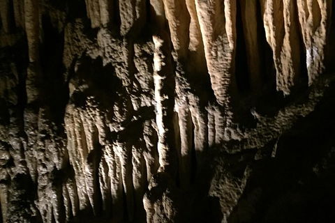 Small-group DayTour From Hobart: Hastings Caves, Huon Valley And Tahune AirWalk - Attractions 1