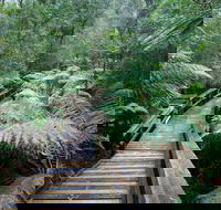 Small-group DayTour from Hobart Hastings Caves Huon Valley and Tahune AirWalk - Attractions