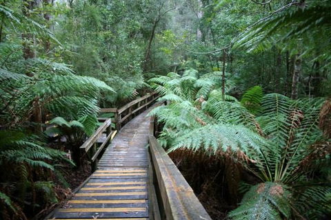 Small-group DayTour From Hobart: Hastings Caves, Huon Valley And Tahune AirWalk - Attractions 0