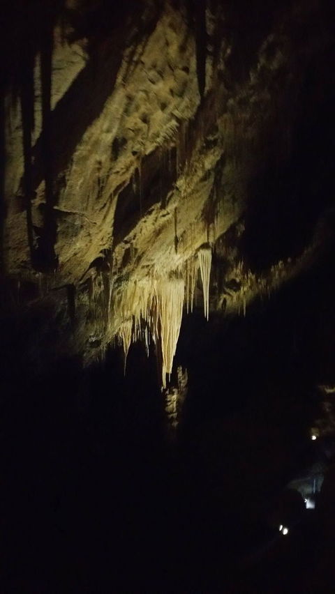 Small-group DayTour From Hobart: Hastings Caves, Huon Valley And Tahune AirWalk - Attractions 7