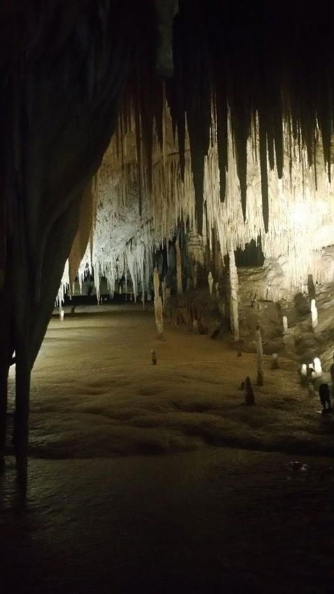 Small-group DayTour From Hobart: Hastings Caves, Huon Valley And Tahune AirWalk - Attractions 8