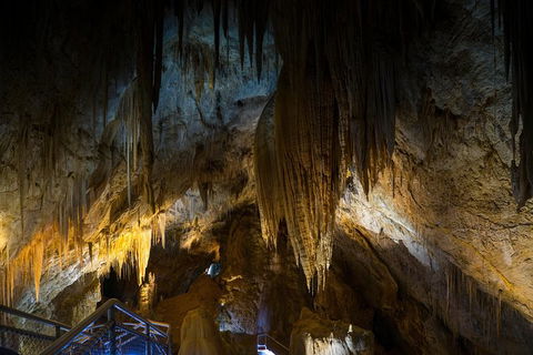 Small-group DayTour From Hobart: Hastings Caves, Huon Valley And Tahune AirWalk - Attractions 19