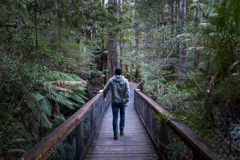 Small-group DayTour From Hobart: Hastings Caves, Huon Valley And Tahune AirWalk - Attractions 11