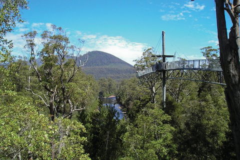 Small-group DayTour From Hobart: Hastings Caves, Huon Valley And Tahune AirWalk - Attractions 9