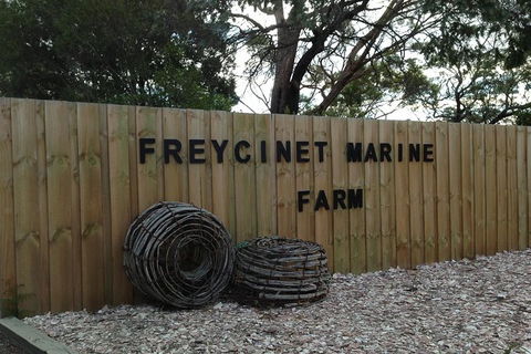 Full-Day Tour One-Way From Launceston To Hobart With Freycinet National Park - Attractions 8