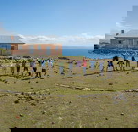 Maria Island Active Day Trip from Hobart - Attractions