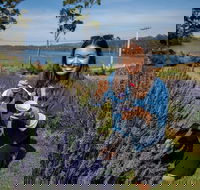 Port Arthur and Lavender Farm Active Day Tour - Attractions