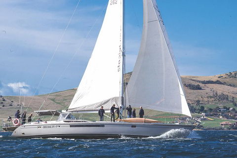 Half-Day Sailing On The Derwent River From Hobart - Attractions 5