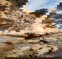 Maria Island premium private photo-oriented day tour from Hobart - Attractions