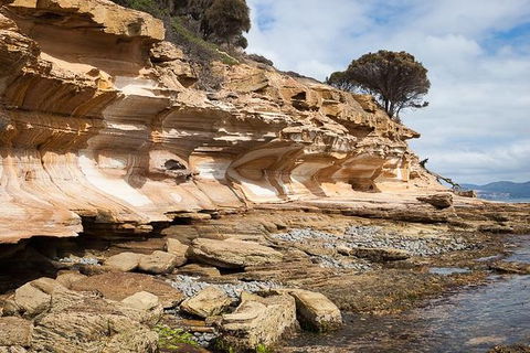 Maria Island Premium Private Photo-oriented Day Tour From Hobart - Attractions 0