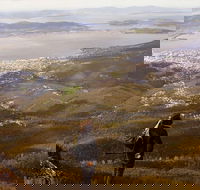 Mt Wellington Half Day Guided Summit Hike - Attractions
