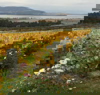 Mona and Wine Experience Tour - Attractions
