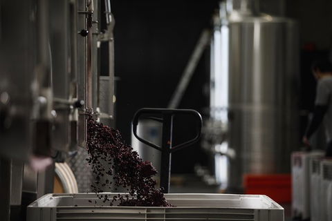 Private 90-minute Moorilla Estate Winery Tour With Tastings And Free Wine Gift - Attractions 1