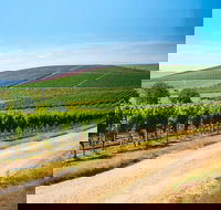 Full Day Tamar Valley Wine Tour - Attractions