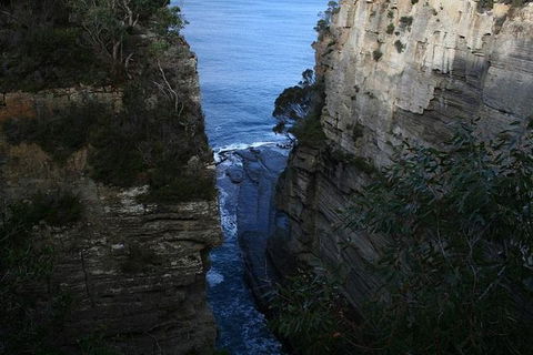 Cruise Ship Special From Port Arthur: Explore Tasman Peninsula With Free WiFi - Attractions 1