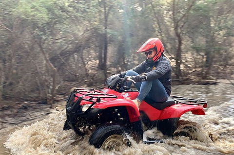 Half-Day Guided ATV Exploration Tour From Coles Bay - Attractions 7