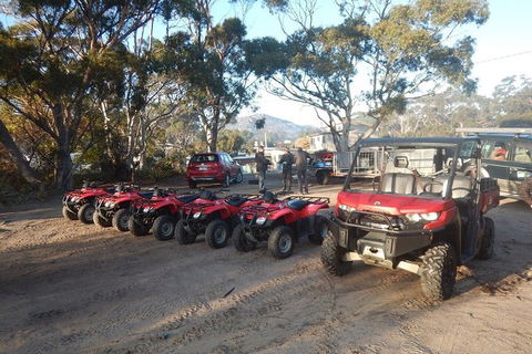 Half-Day Guided ATV Exploration Tour From Coles Bay - Attractions 4