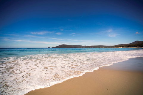 Private Bruny Island Nature Day Trip From Hobart - Attractions 1