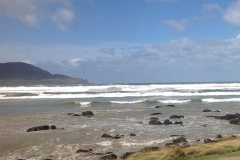 Private Bruny Island Nature Day Trip From Hobart - Attractions 0