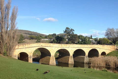 Private Bonorong Wildlife Sanctuary And Richmond 5 Hour Trip From Hobart - Attractions 1